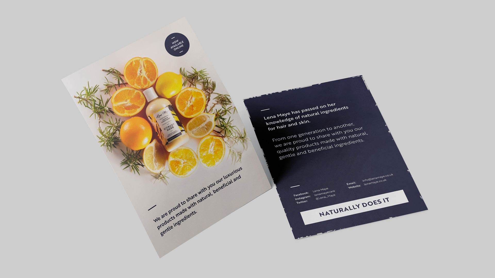 Lena Maye Leaflet design